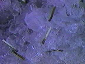 1202_1093a_Generic Video Art.jpg